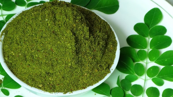 A cup of freshly brewed moringa tea with moringa leaves beside it.