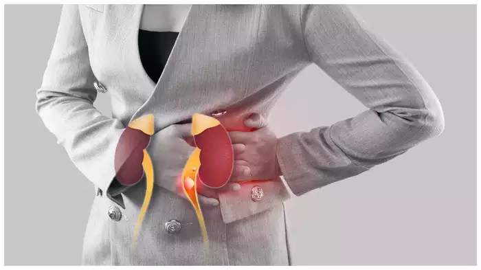 A healthy kidney illustration symbolizing improved kidney function and overall well-being.