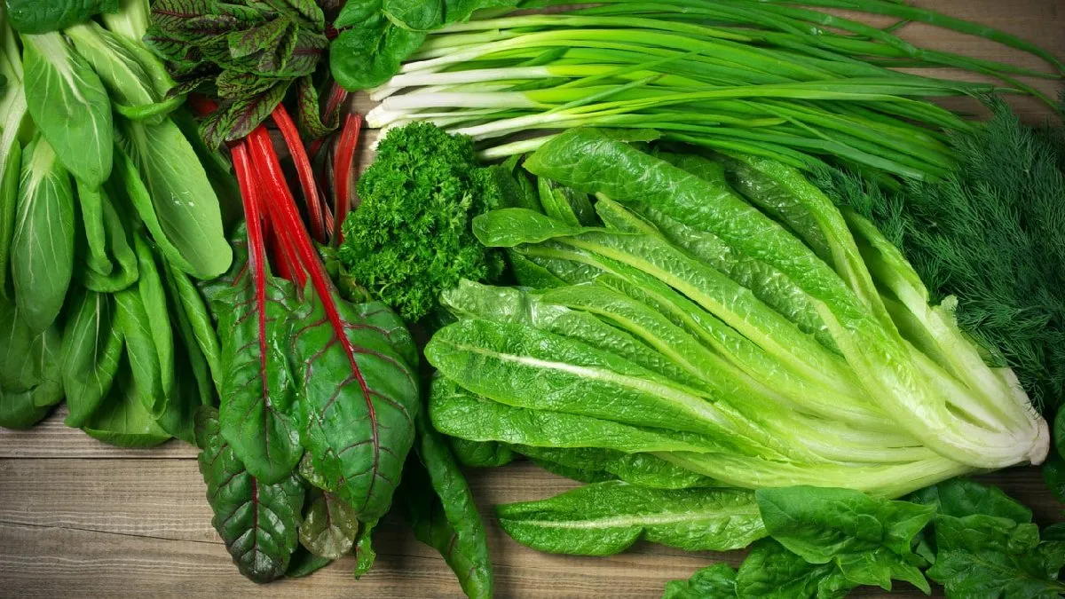 Fresh and nutritious leafy greens – packed with vitamins and minerals