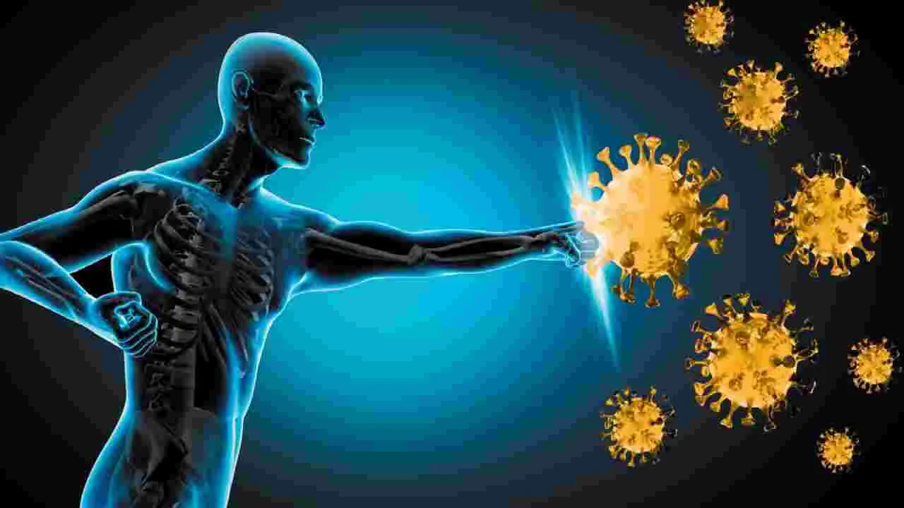 Moringa powder enhances immunity with its rich antioxidants and nutrients.