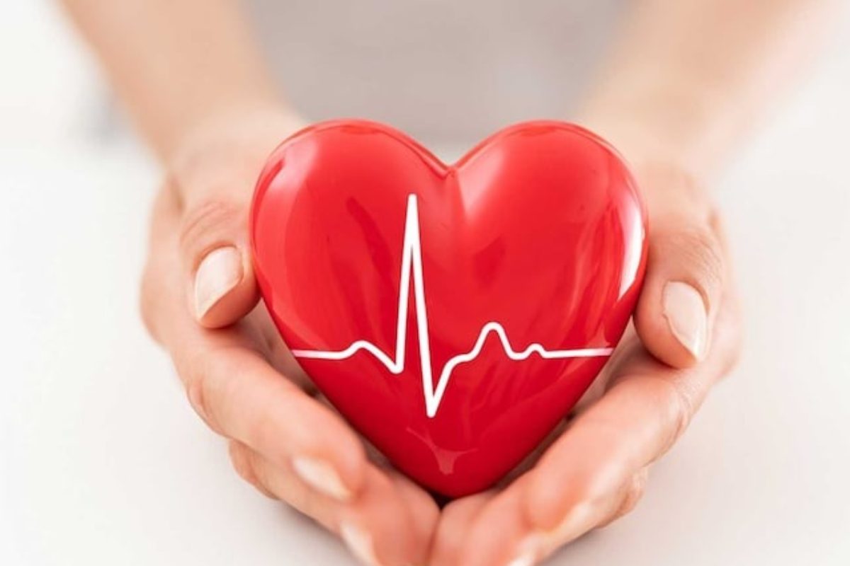 Moringa Powder for a Healthy Heart